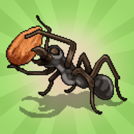 口袋蚂蚁游戏官方正版下载(Pocket Ants)